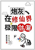 �ڻ������ɽ缫�޼�©