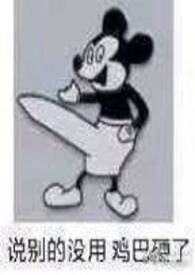 �ⲻ�����ɣ����� np